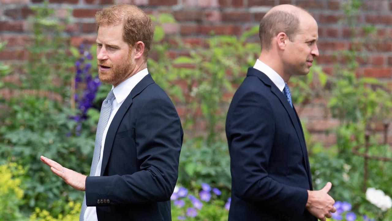 Prince Harry believes he was born to offer spare organs to his brother 