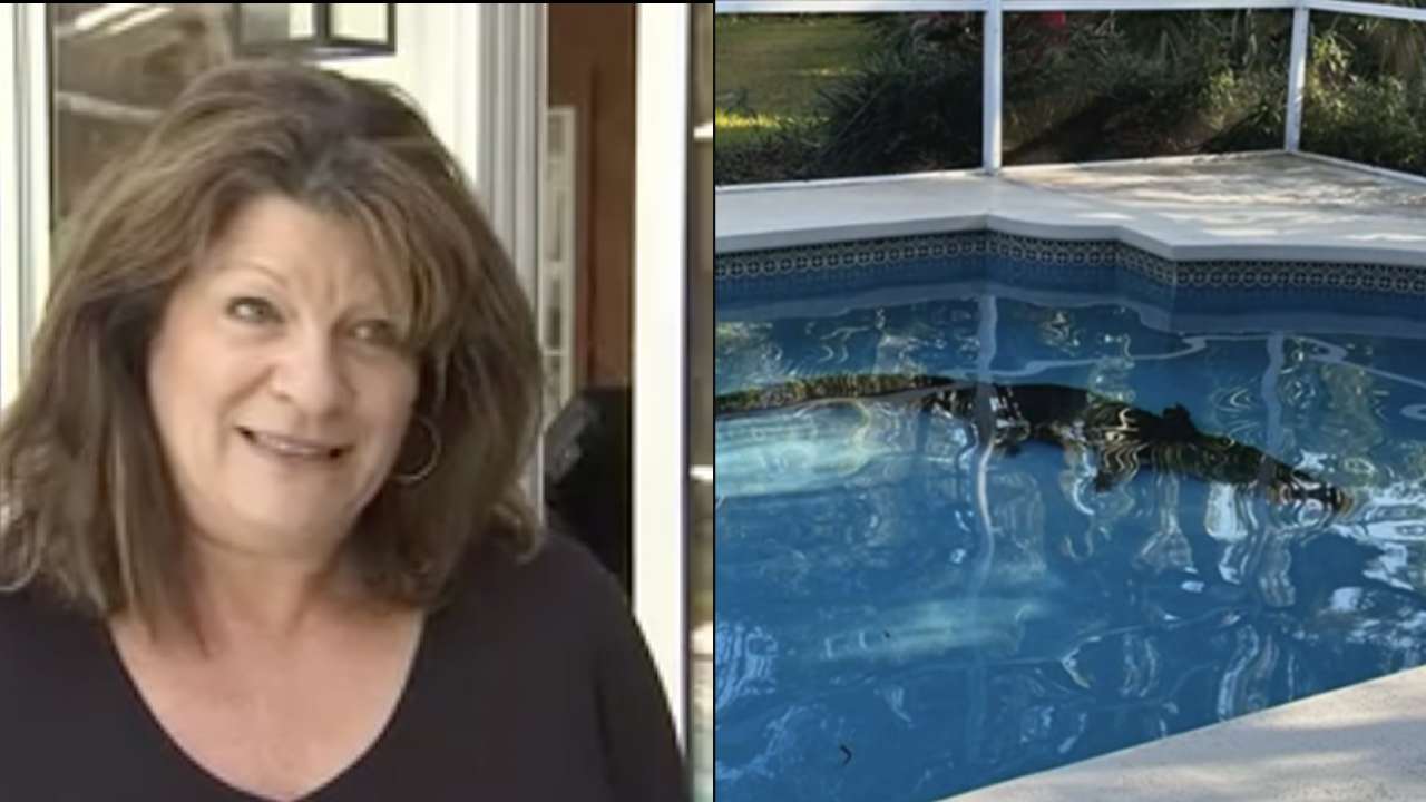 Only in Florida! Woman's shocking find lurking in backyard pool