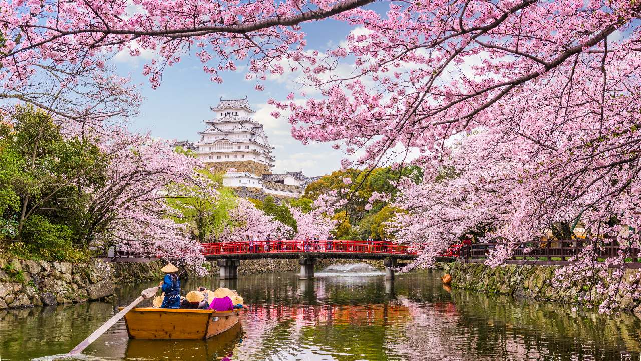 Explore Japan in all its glory