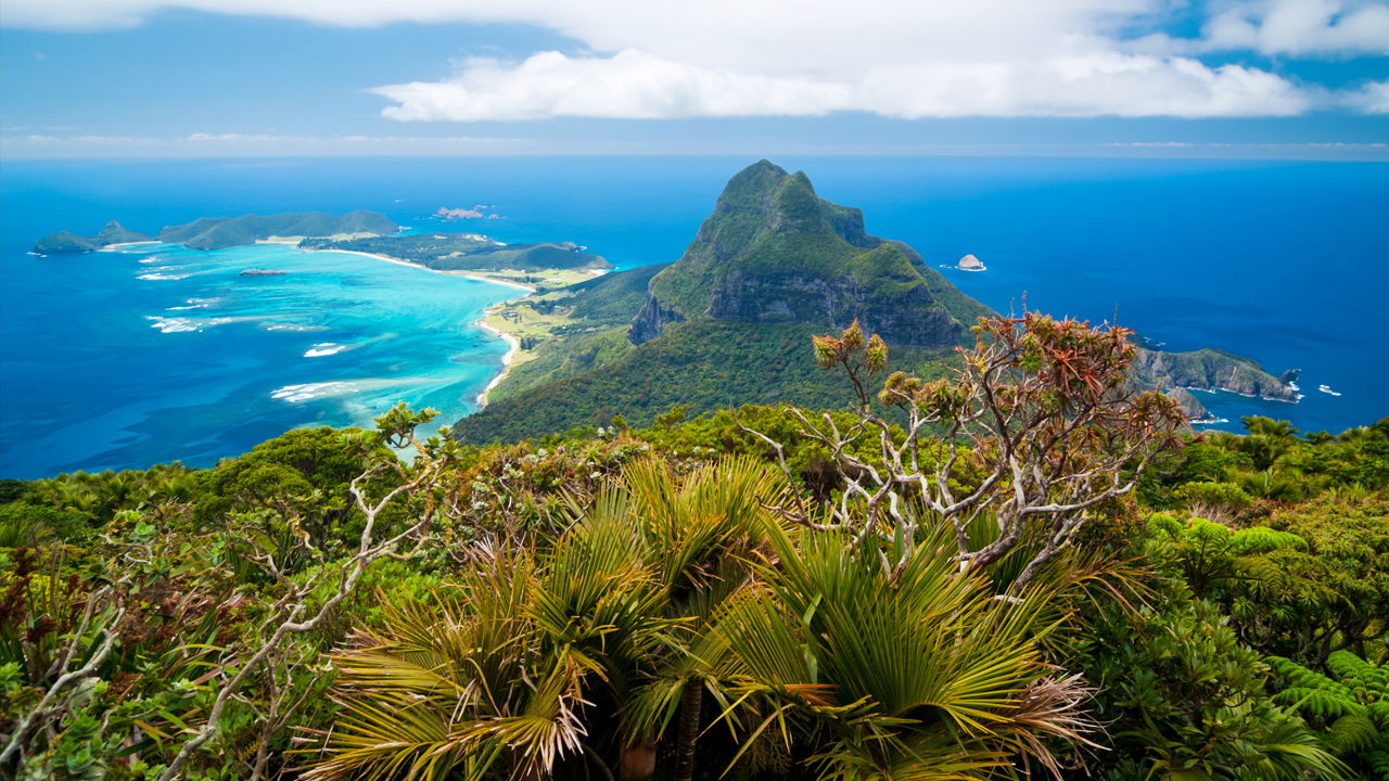 What is myrtle rust and why has this disease closed Lord Howe Island to visitors?