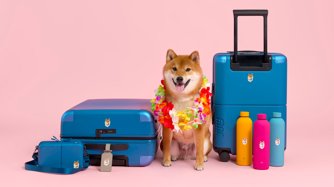 Bring your furry friend’s face along on your next big trip
