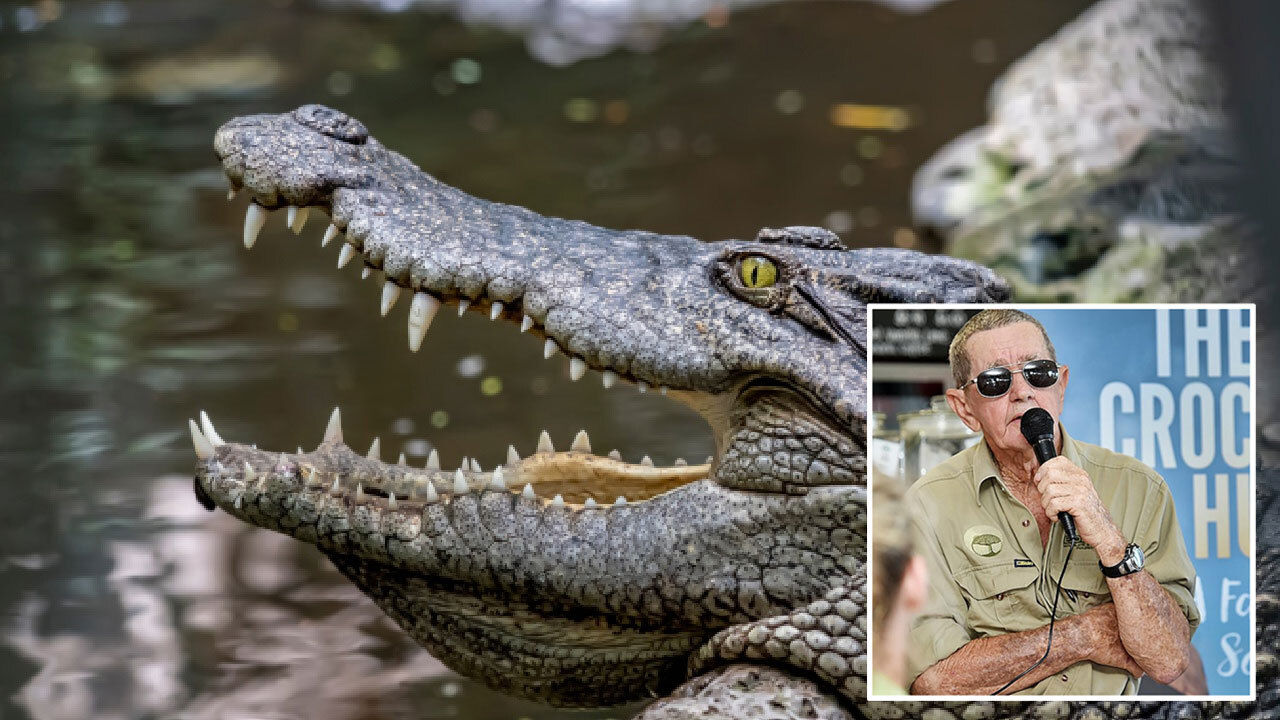 "Change the law!": Bob Irwin's campaign against social media “idiots"