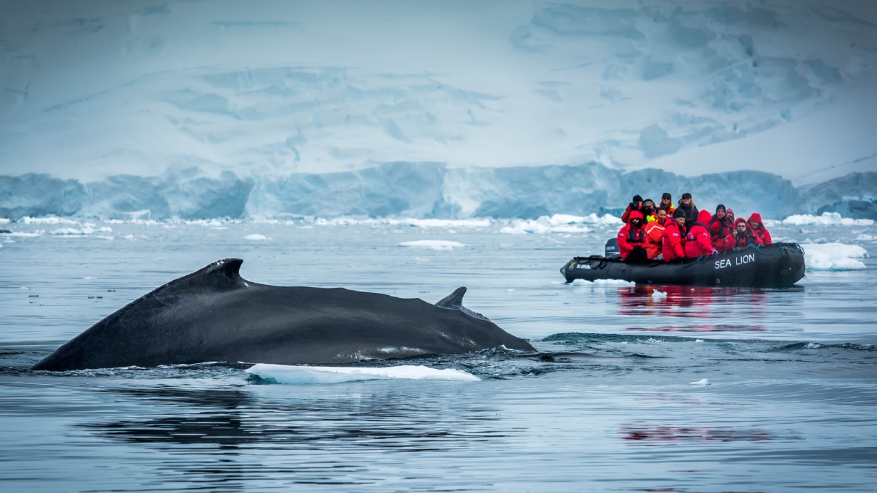Explore Antarctica on this once-in-a-lifetime cruise