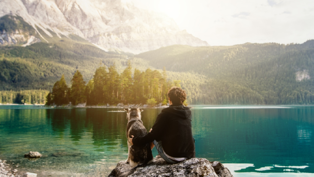 A guide to holidaying with pets
