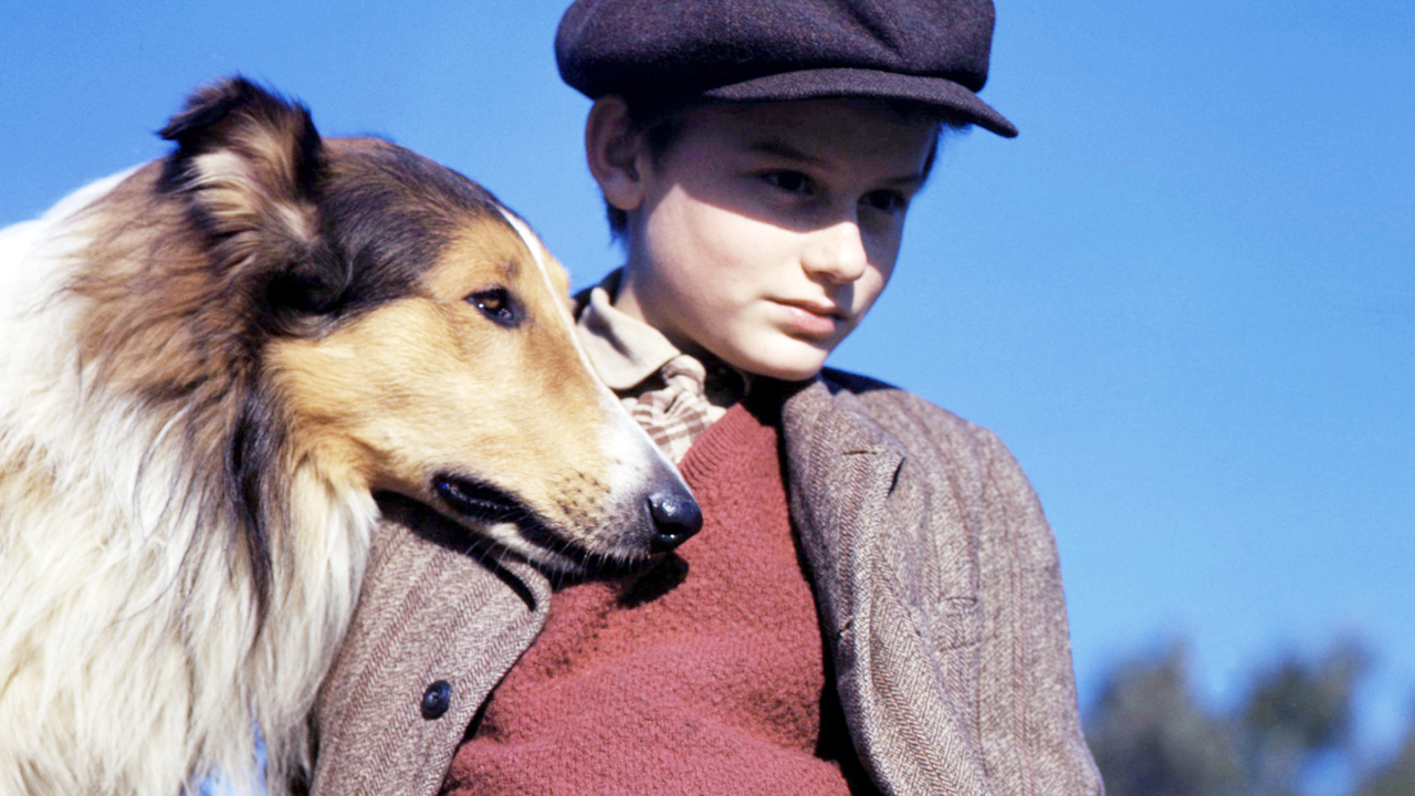The most famous dogs in films