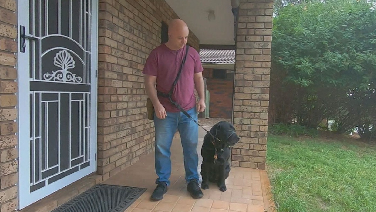 Restaurant under fire for denying entry to war veteran with service dog
