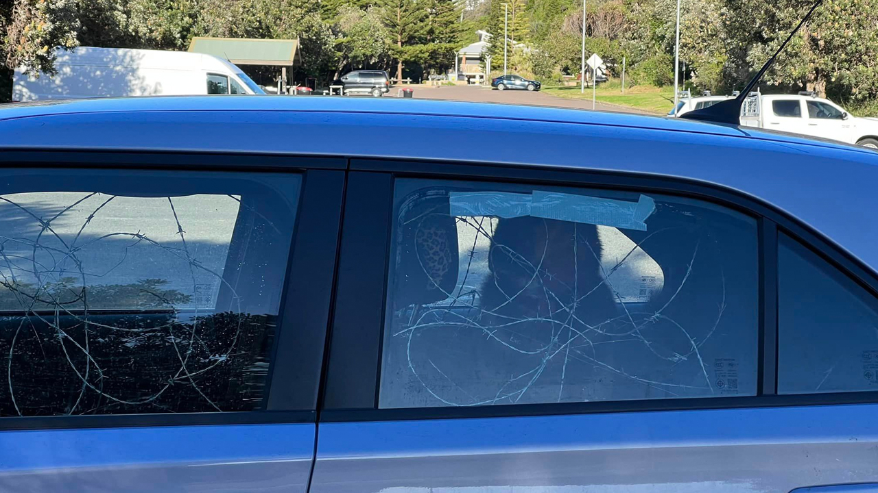 Outrage after dog seen trapped in car cloaked in barbed wire