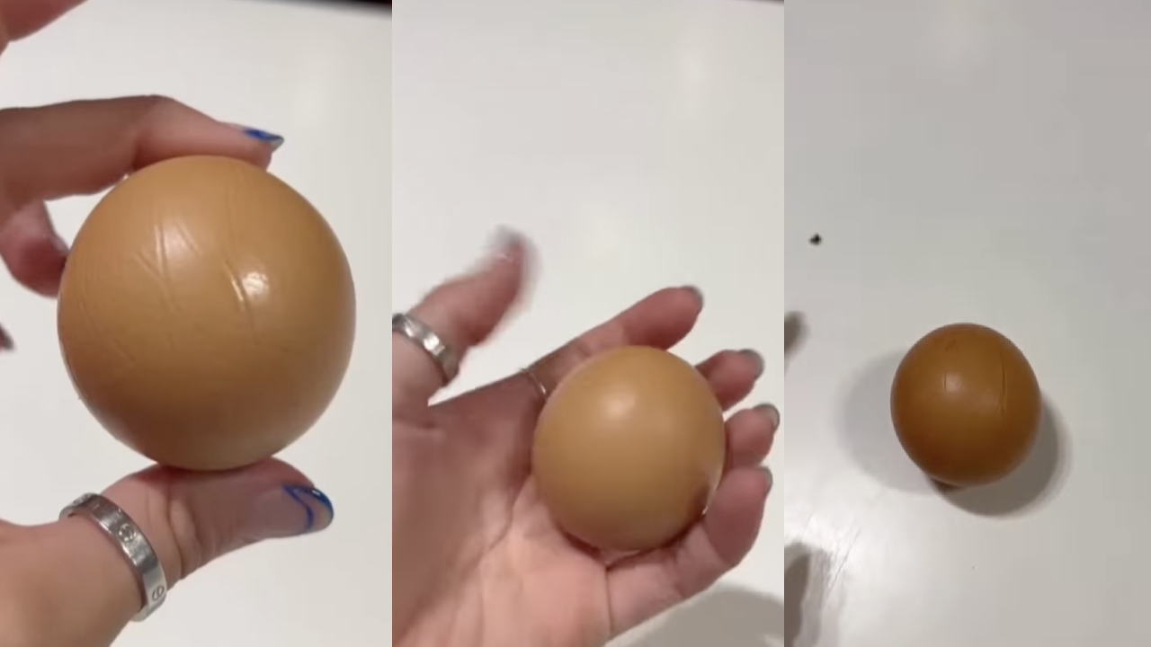 “Yolkidding me”: Perfectly round egg goes viral online