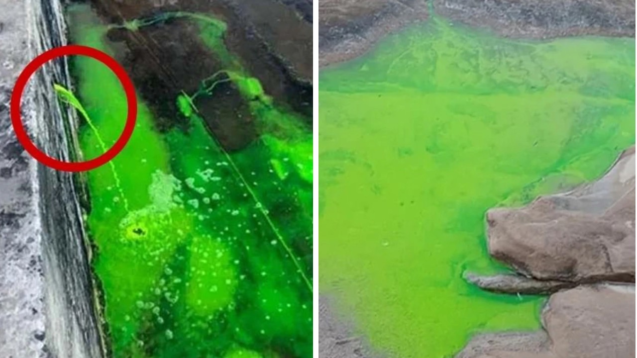 Mysterious liquid turns popular rock pool green