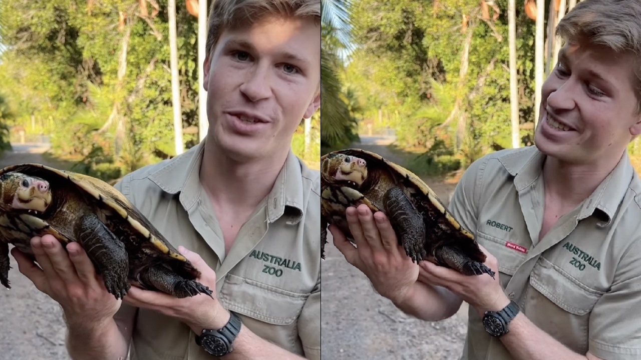 Robert Irwin introduces new addition to Australia Zoo family