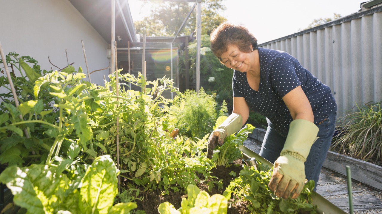 10 surprising health benefits of gardening