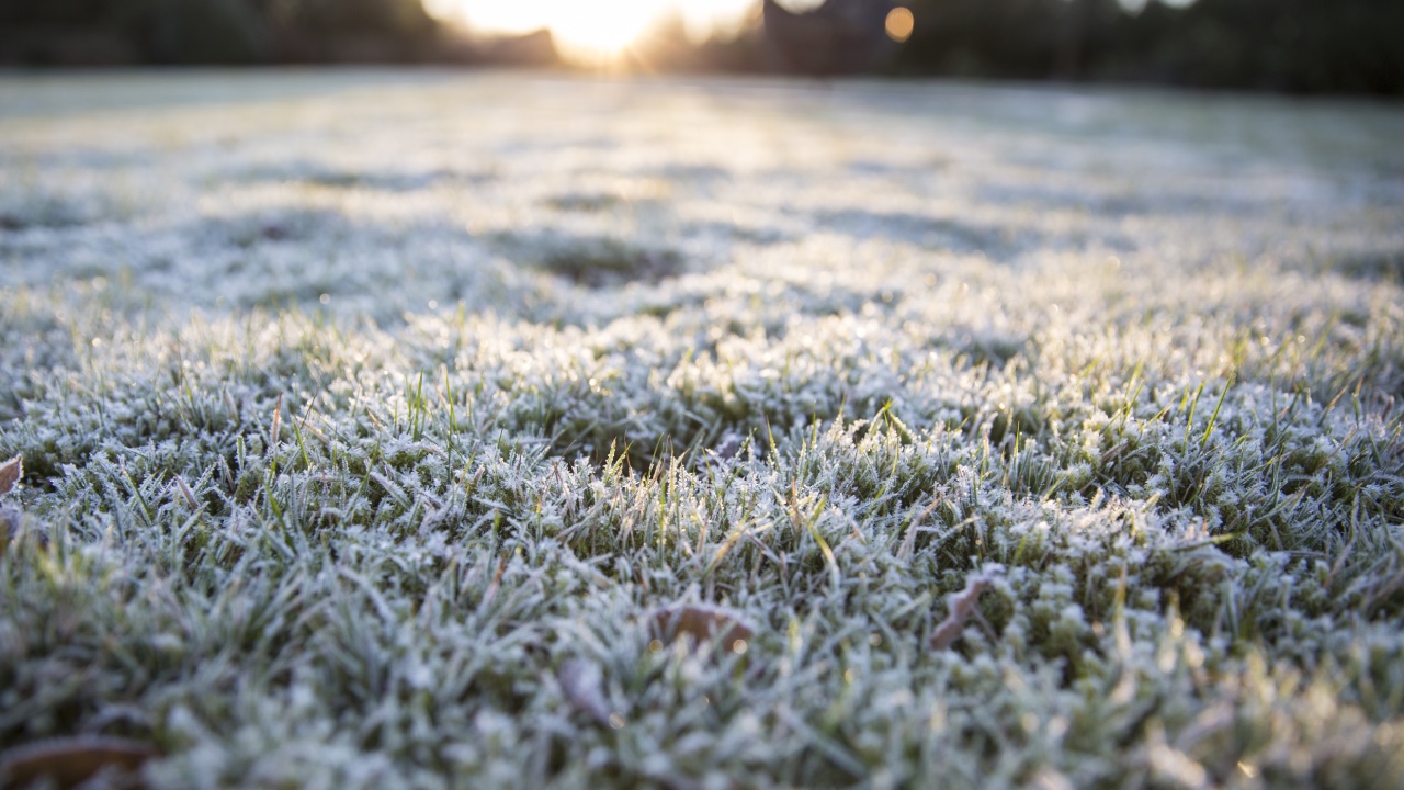 Why does grass grow more slowly in winter?