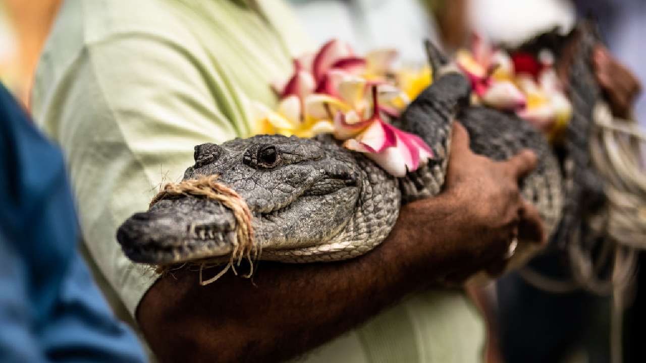 "We love each other": Mayor marries reptile in stunning ceremony