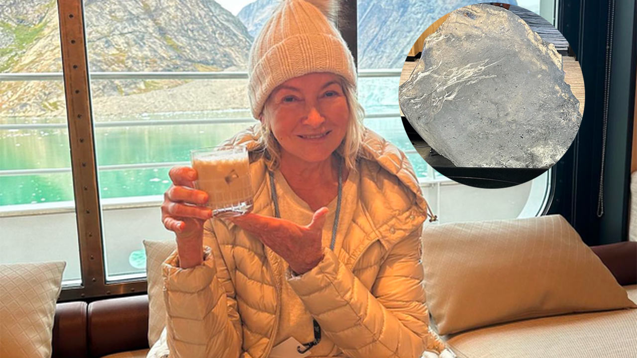 "Leave the icebergs alone!": Absurd response to innocent Martha Stewart post