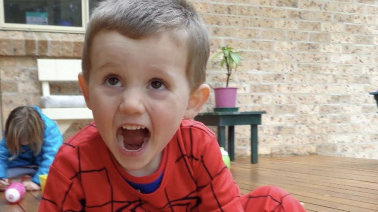 William Tyrrell's foster mother pleads guilty to assault