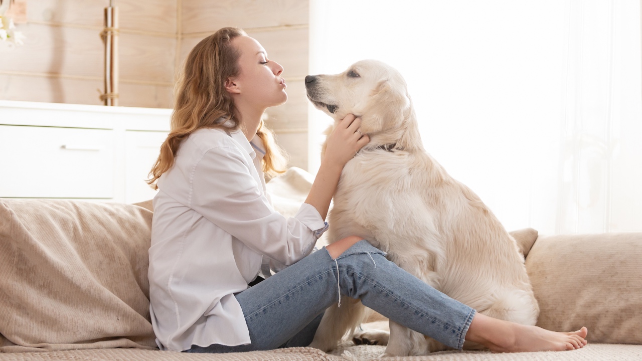 8 tips for keeping pets healthy that won’t break the bank