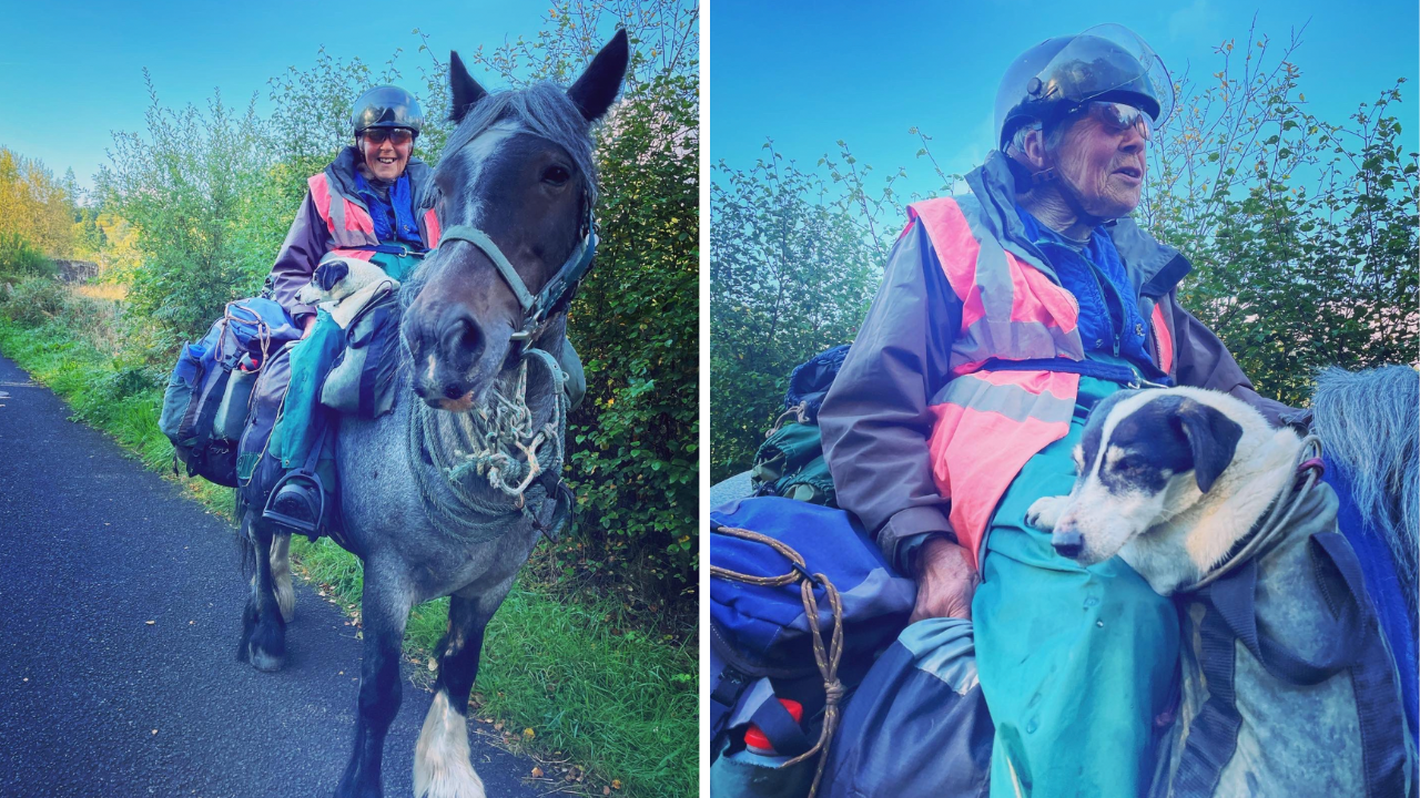 Pensioner's epic 600-mile journey from England to Scotland on a pony