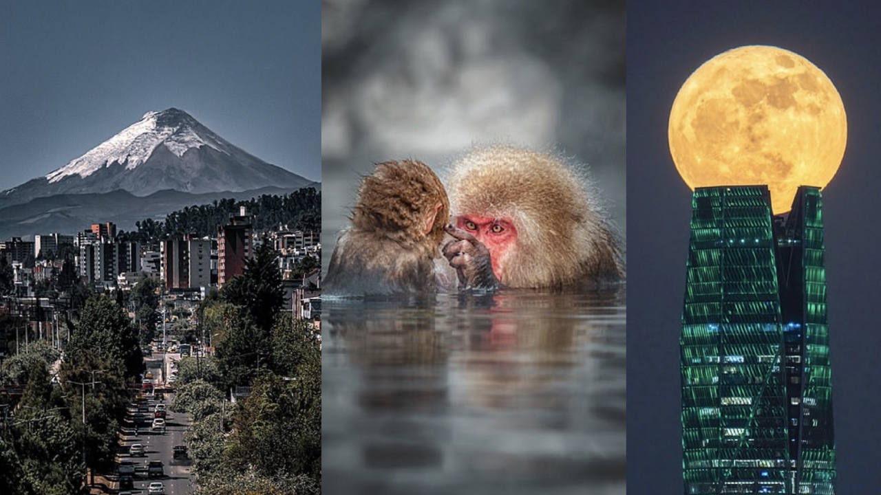 The stunning winners of the 2024 Sony World Photography Awards