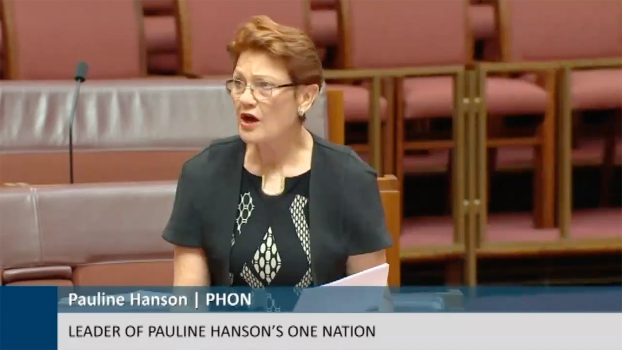 “Was I right?": Pauline Hanson repeats her call for halt on immigration