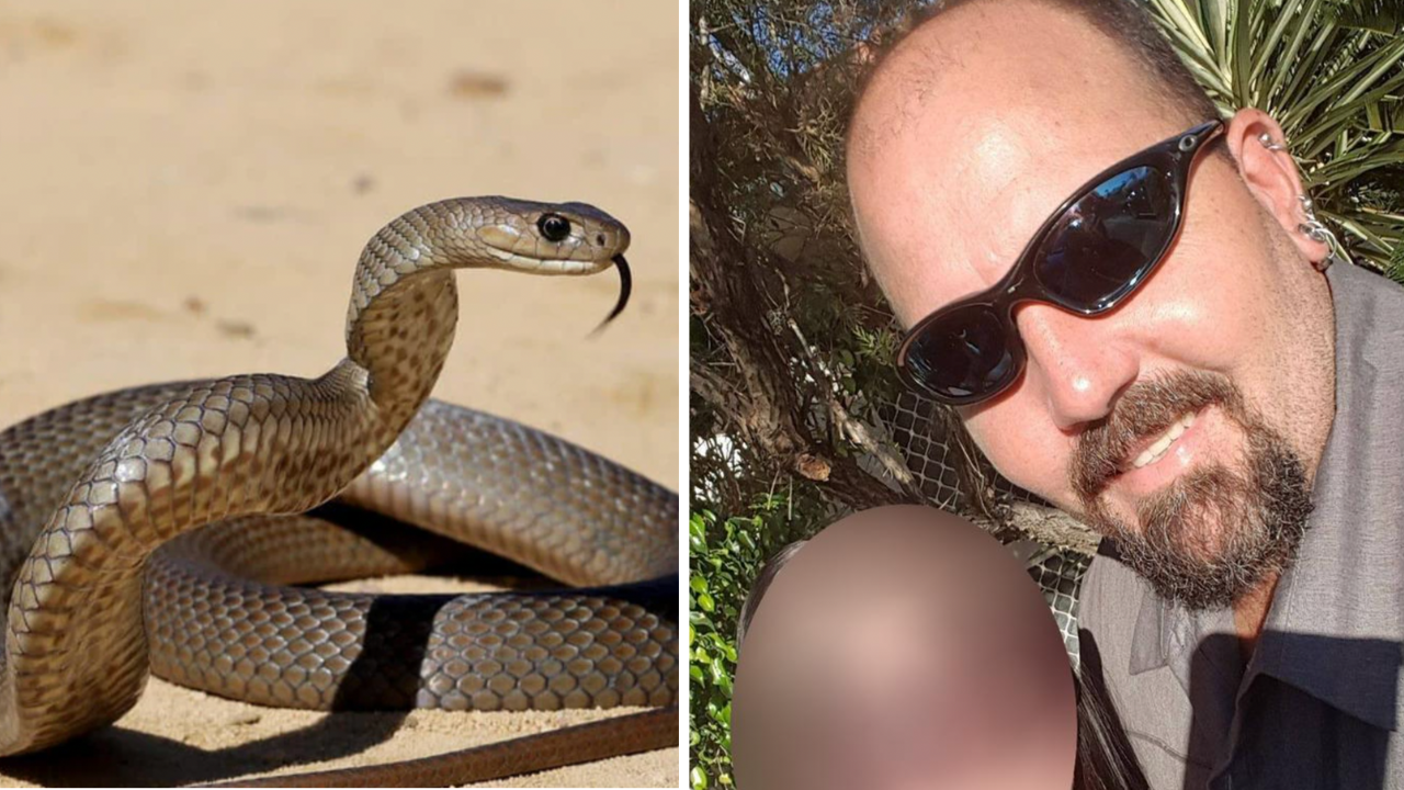 Dad dies after being bitten by deadly snake in child care centre