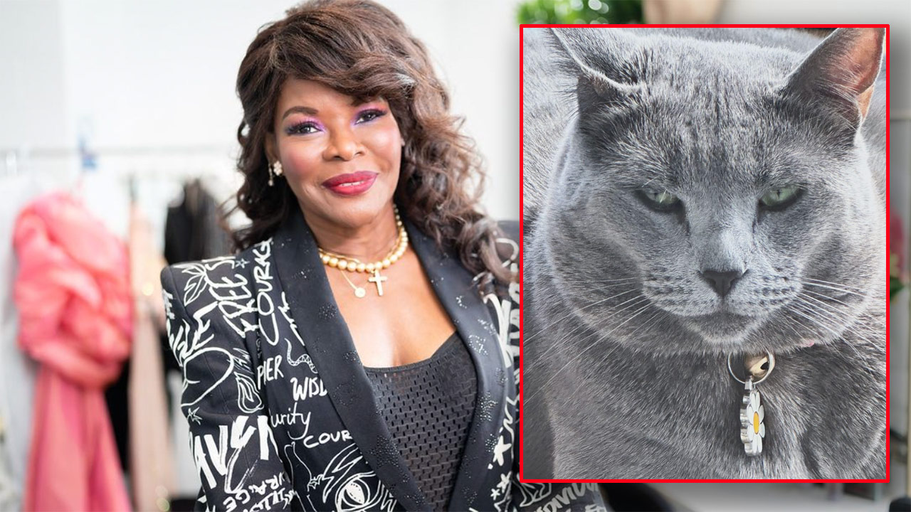 "There's no place like home": Marcia Hines and her amazing cat share sweet message 