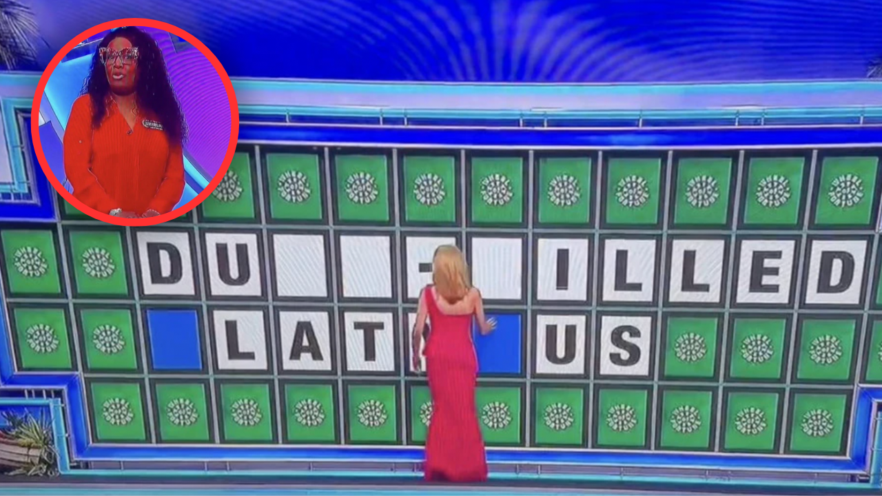 "A Duck-Filled Platypus?!": Wheel of Fortune contestant's $10k mistake