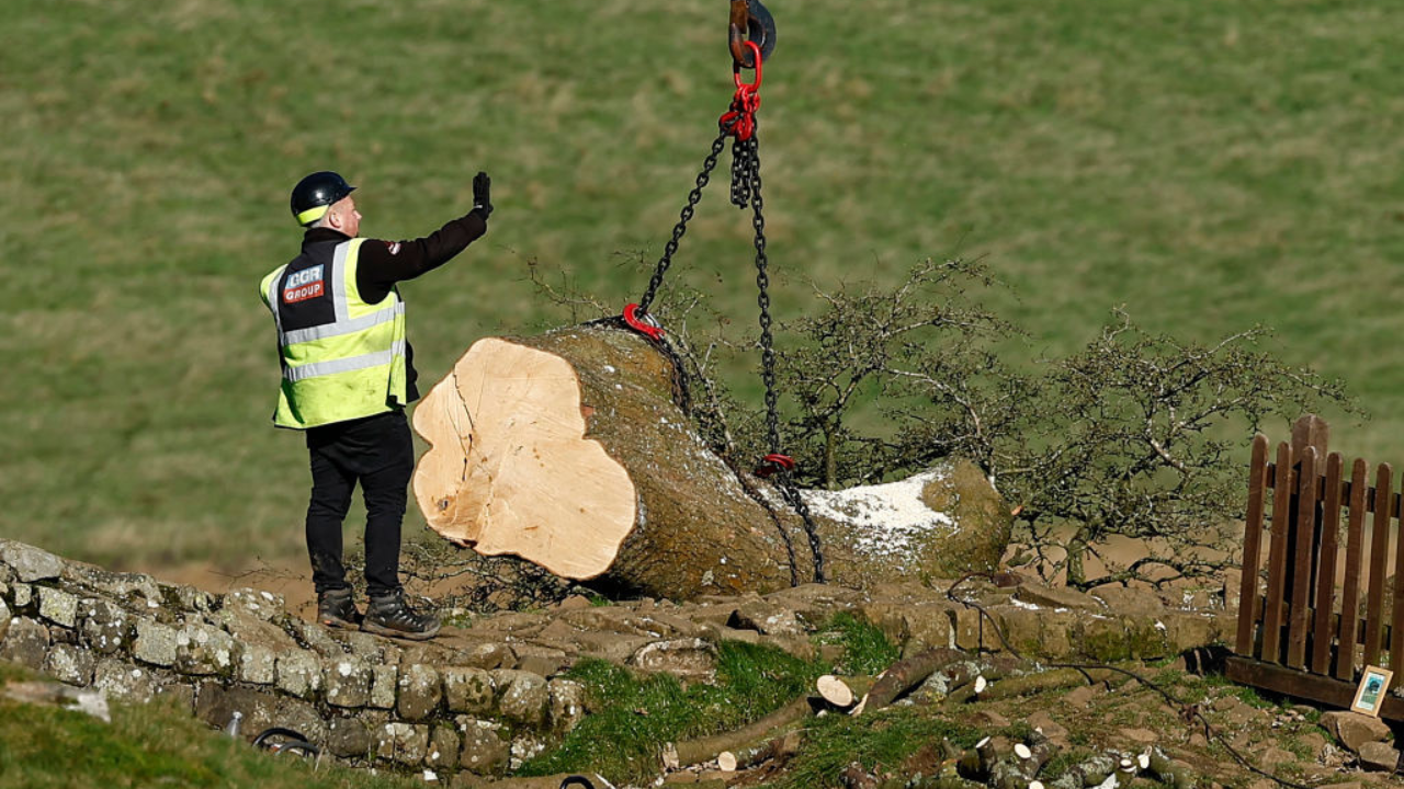 Two men charged over felling of iconic Sycamore Gap tree