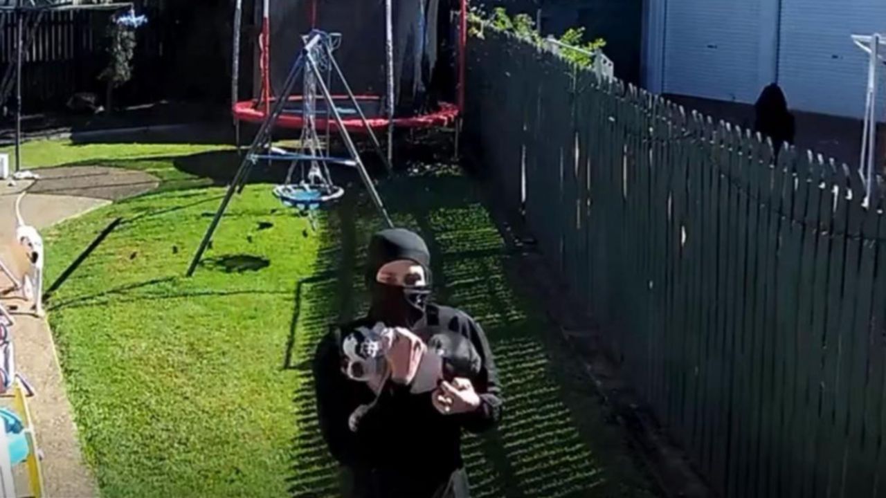 Manhunt after masked figures steal puppy from backyard