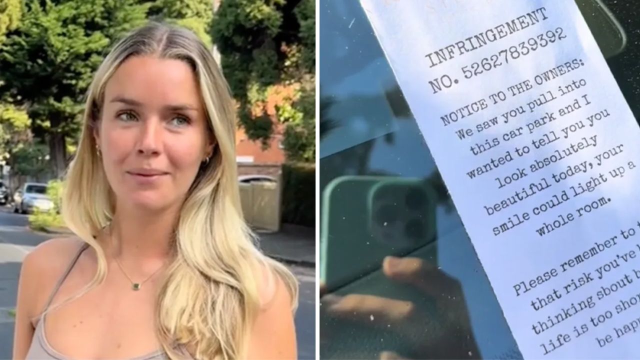 Woman's fake parking fines divides internet
