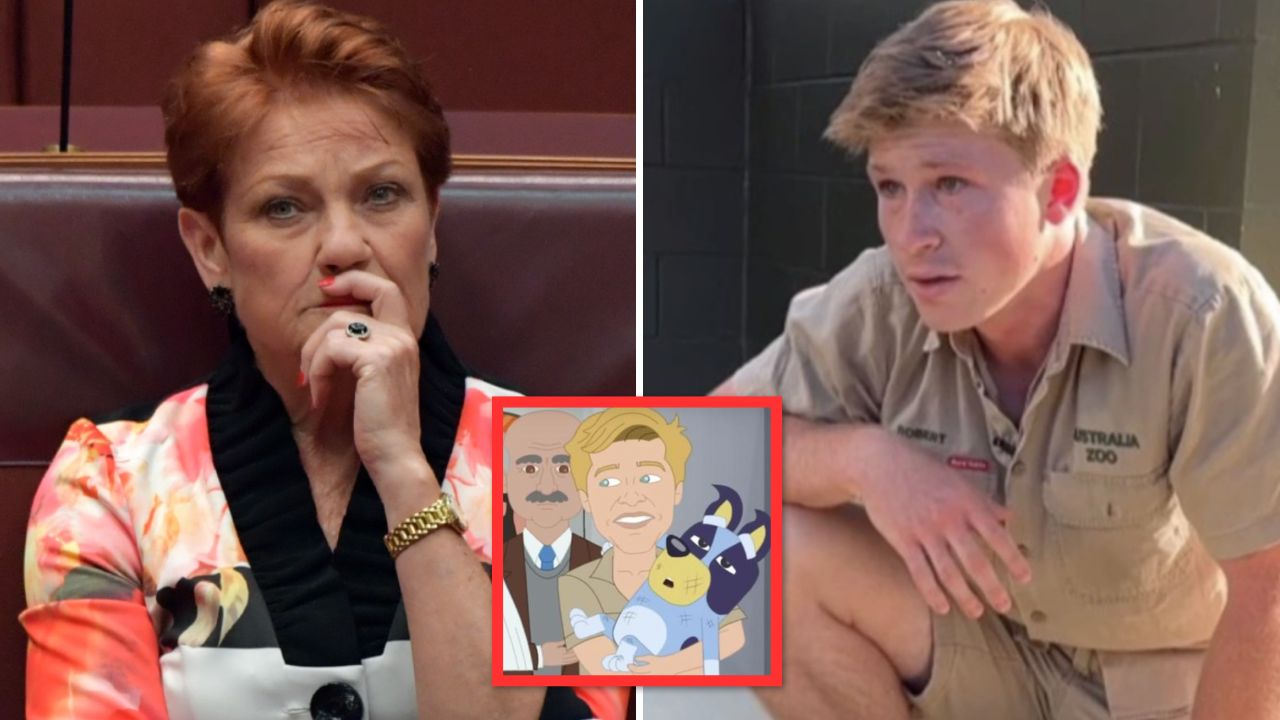 Robert Irwin threatens to sue Pauline Hanson over "defamatory" cartoon
