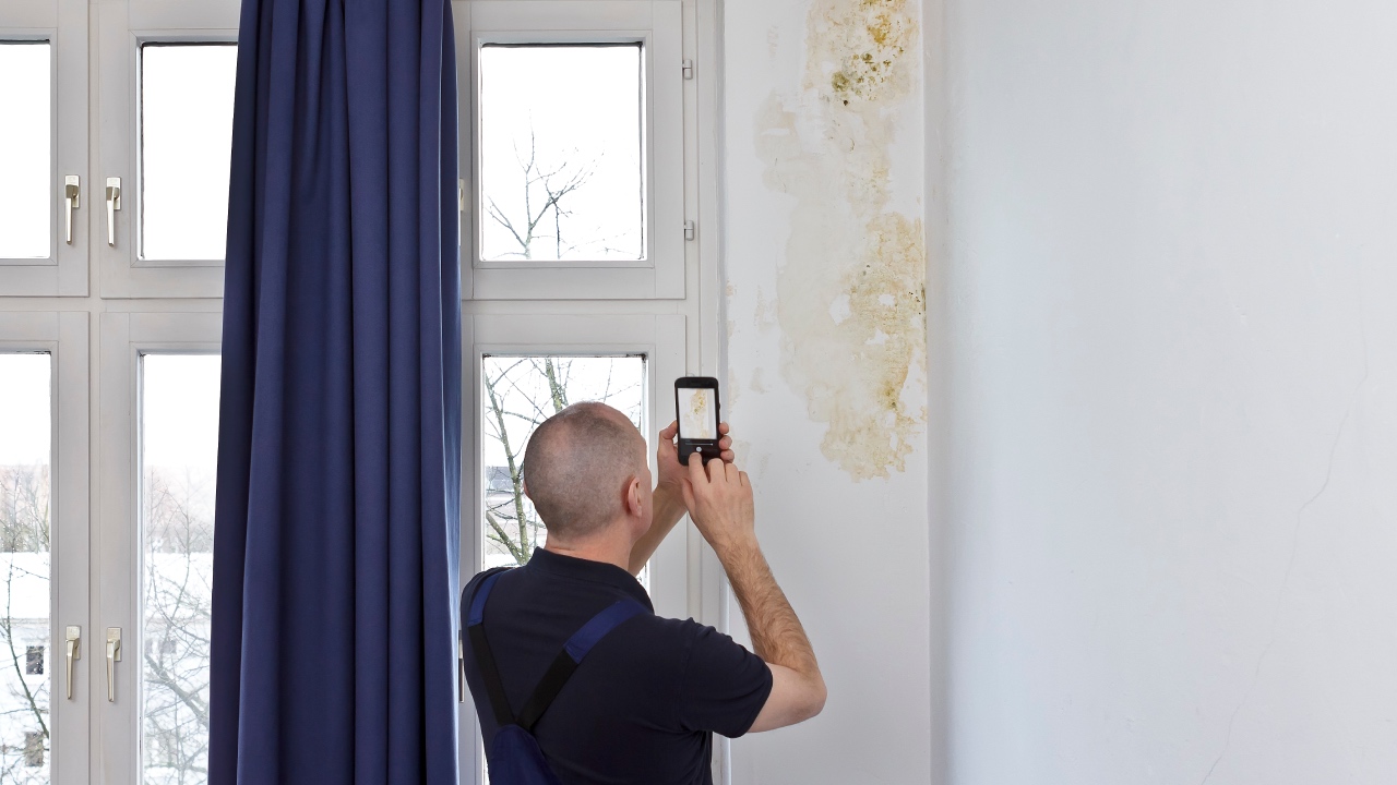 What if I discover mould after I move into a rental property? What are my rights?