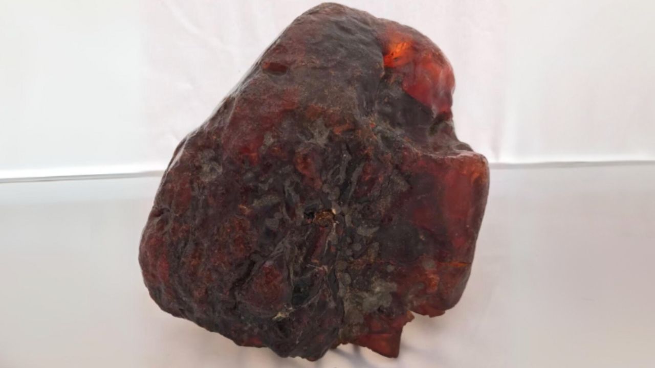 "World's biggest" amber nugget worth over $1 million used as doorstop for decades