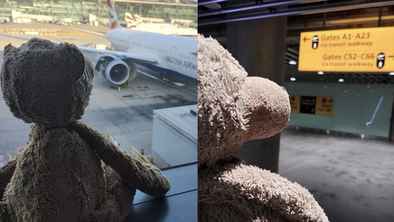 Beloved teddy bear left in airport lounge rescued by airline