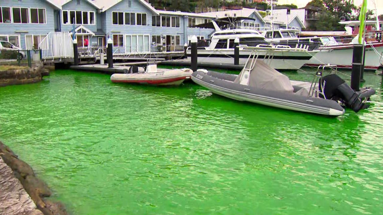 "Green cordial" water in Sydney harbour baffles residents