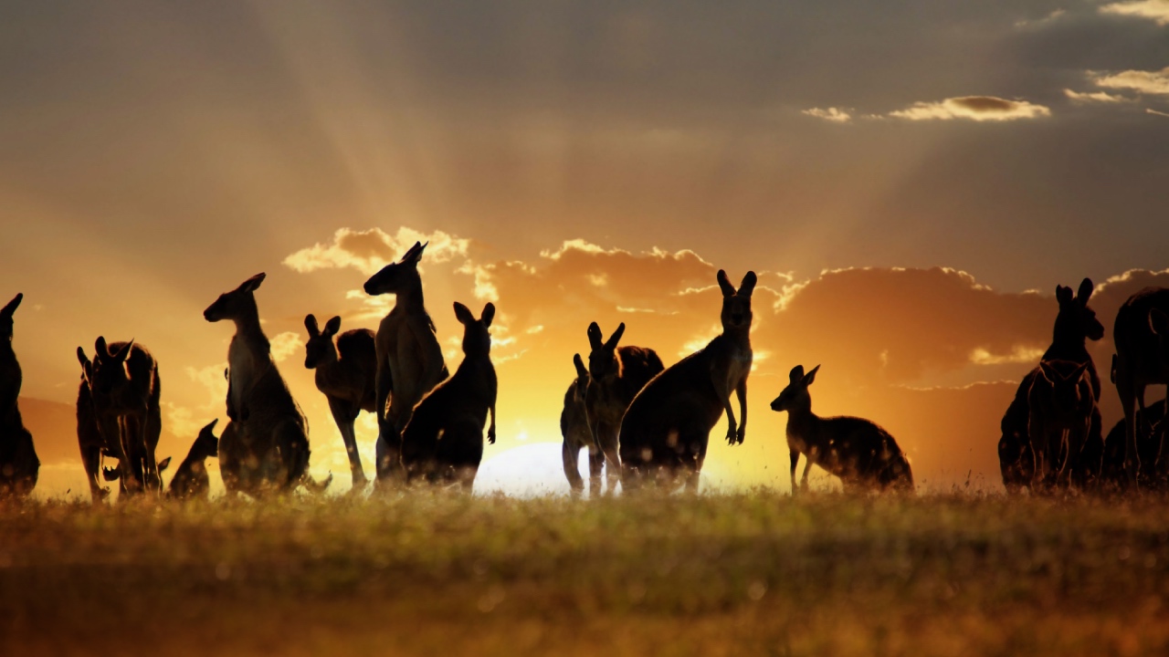 Climate change threatens Australian tourism more than is widely believed. Here’s why