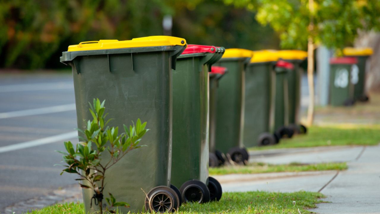 "Absurd" $312 fine for common bin act