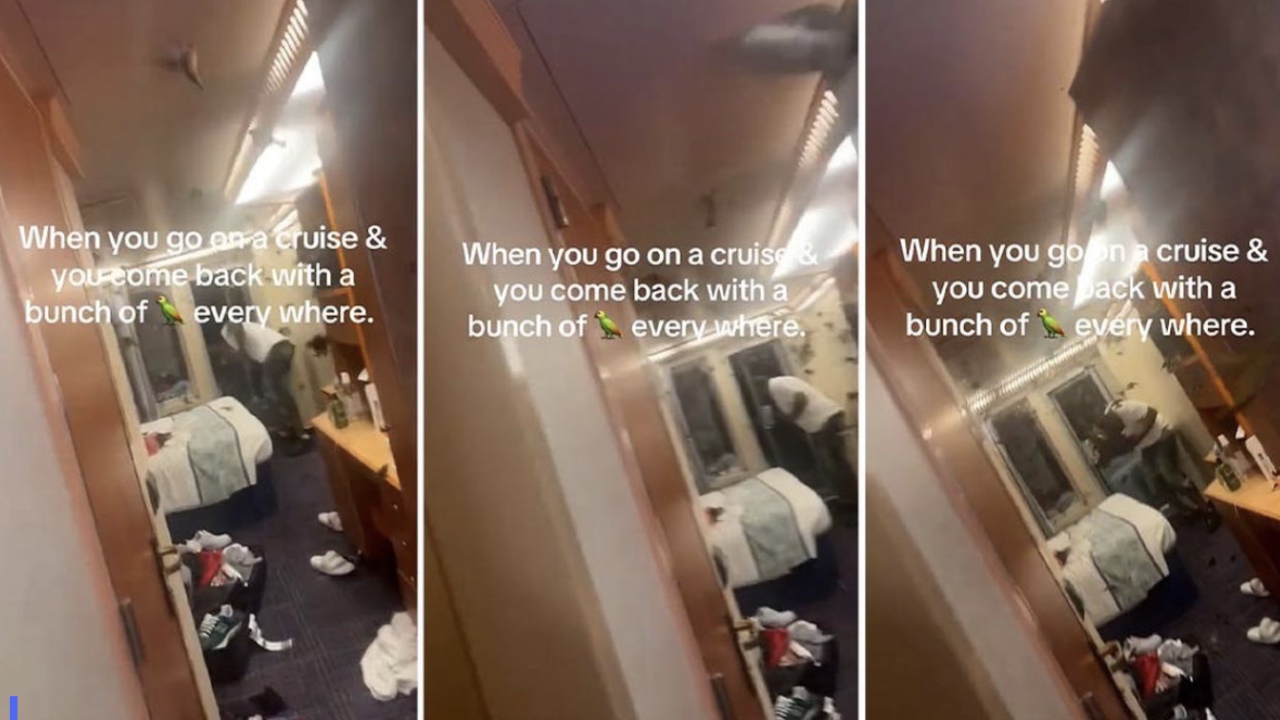 Cruise passengers share why you never leave your cabin balcony door open