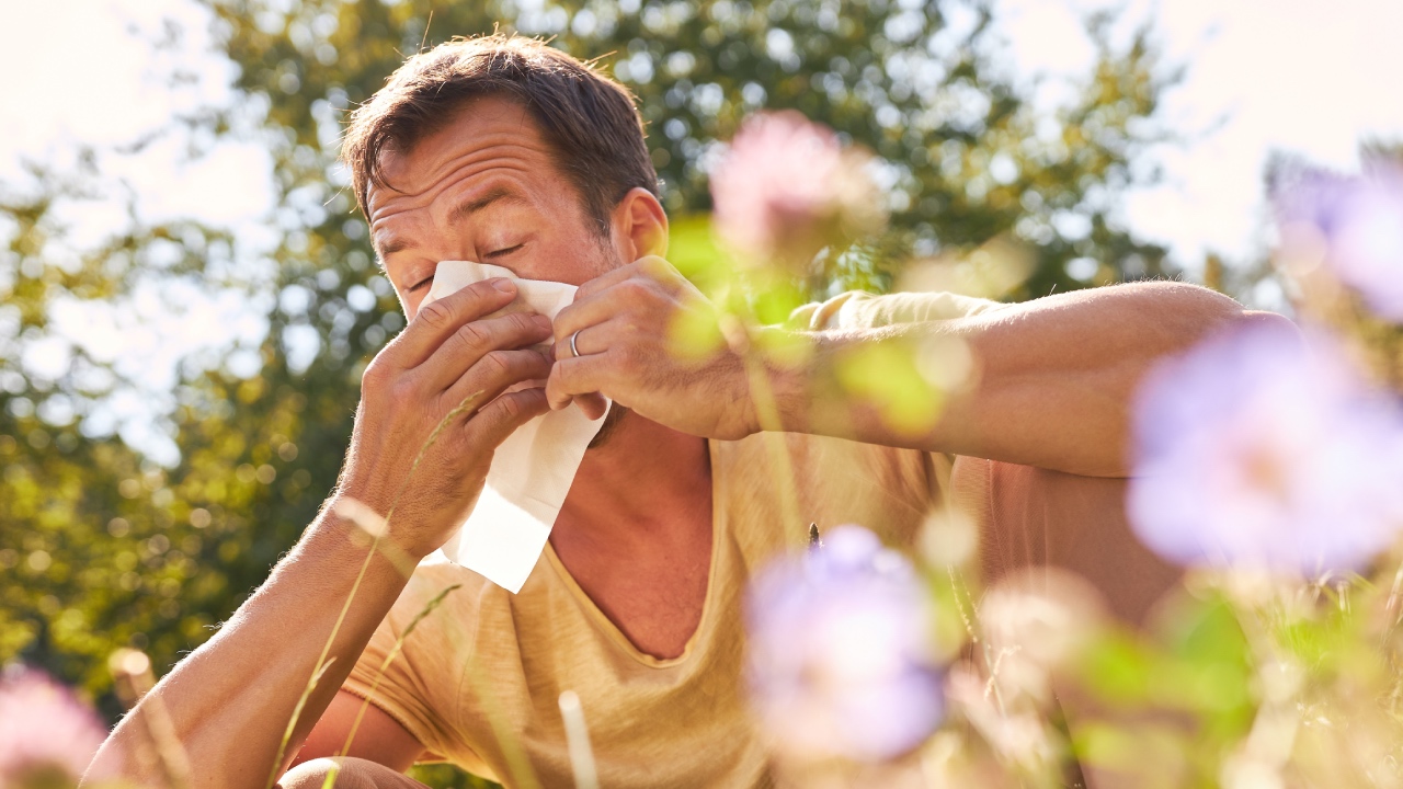 I have hay fever. How can I tell what I’m allergic to?