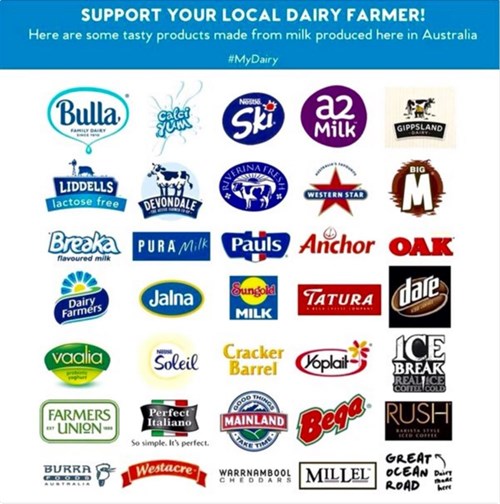 What dairy products help struggling Aussie farmers? | OverSixty