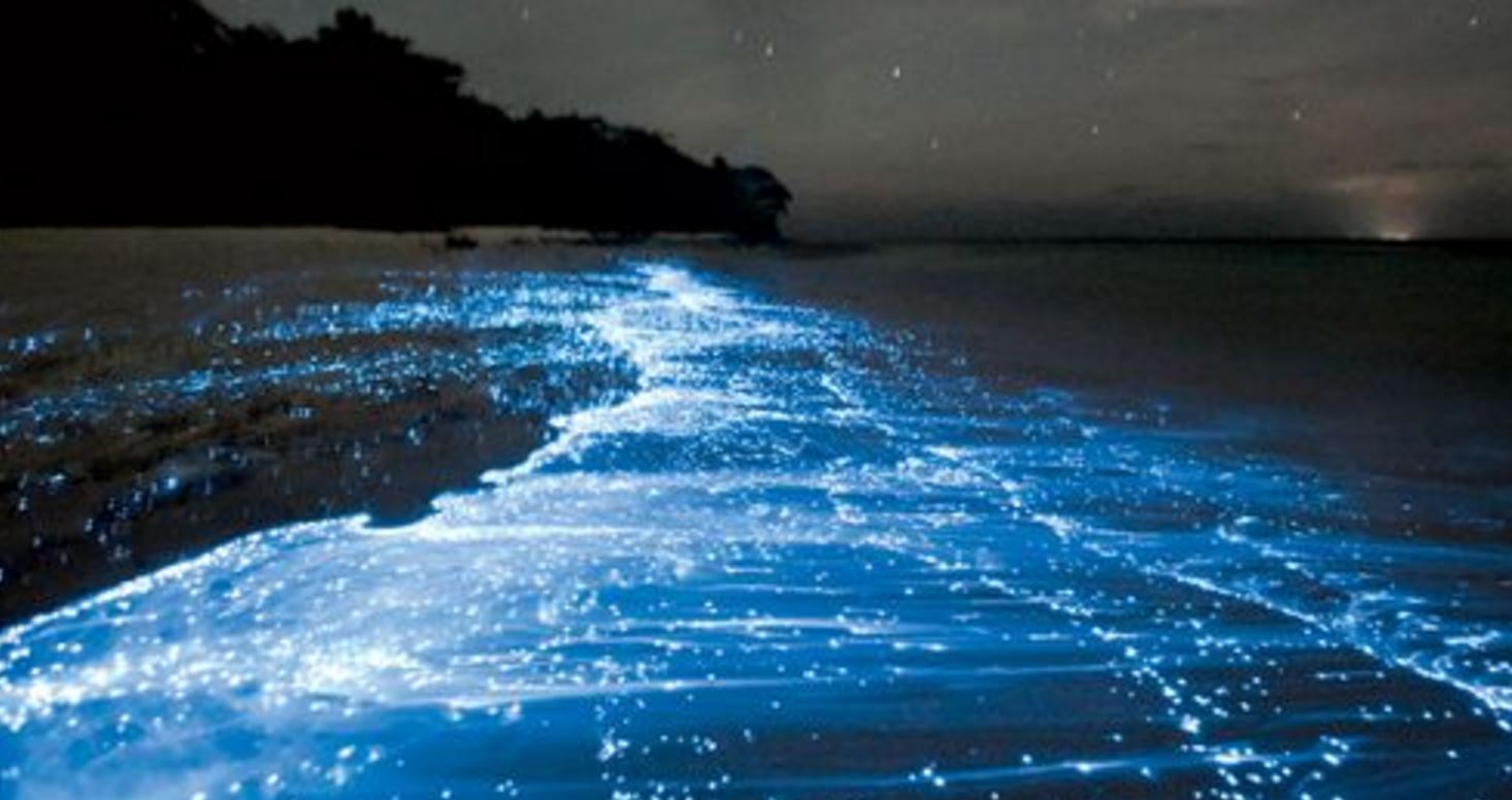 Japan beach illuminated by mysterious natural phenomenon | OverSixty