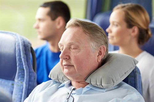 travel pillow