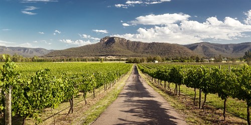 aussie vineyards