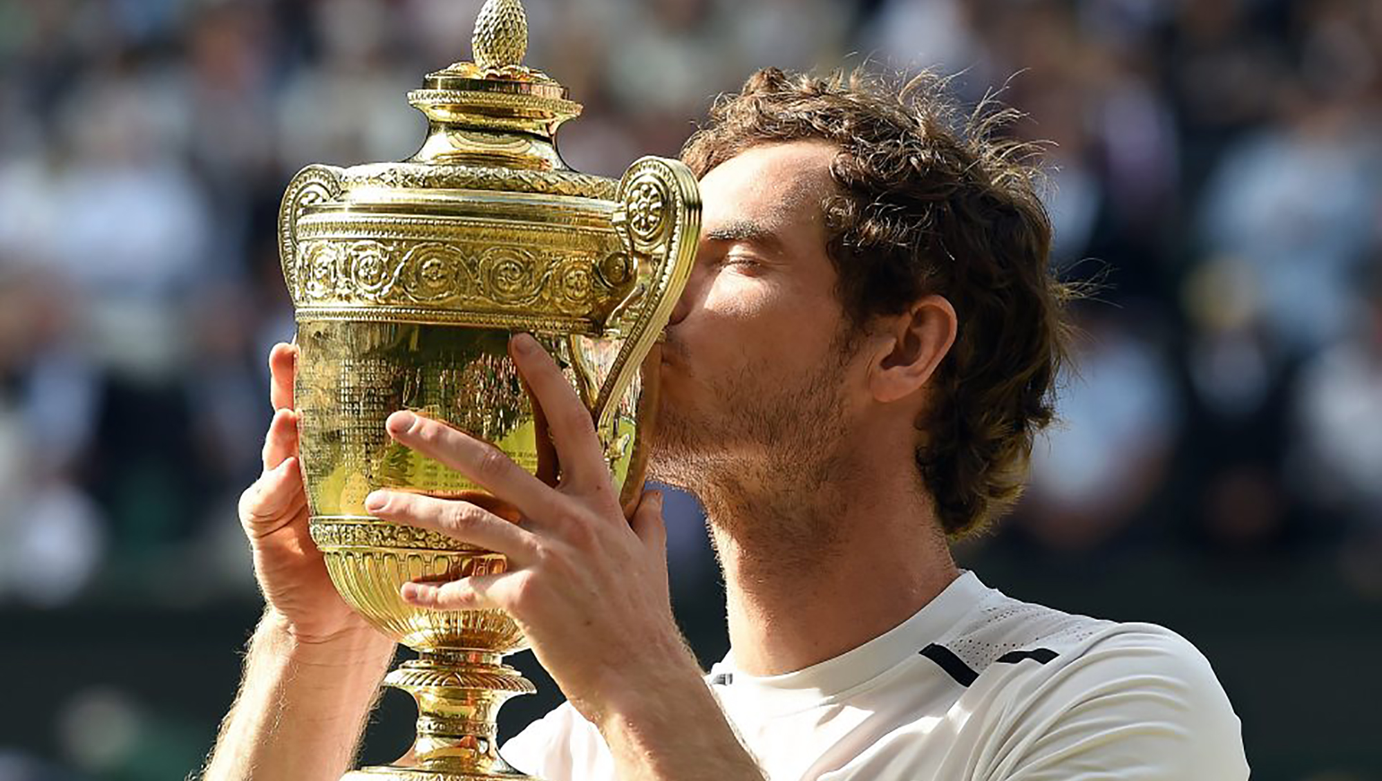 Andy Murray Wins Wimbledon Again | OverSixty