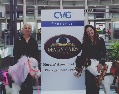 Airport Pony In Text 1