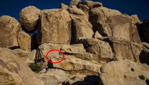 Hidden Image Image In Text Two