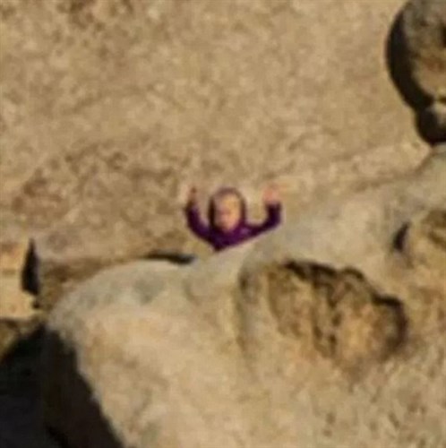 Hidden Image Three