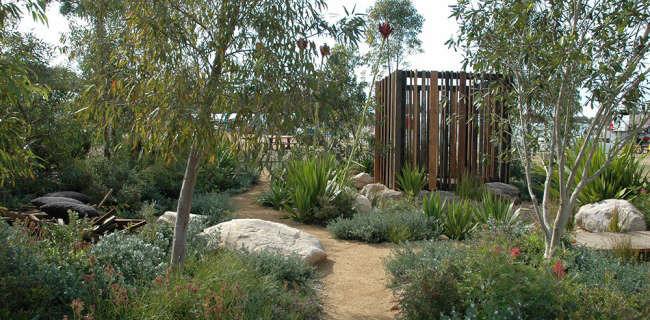 Amazing Australian native garden designs | OverSixty