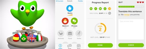 Learn Language App In Text