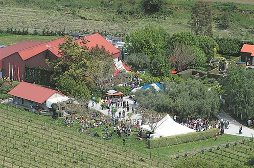 161010 Gh Millton Vineyards And Winery.