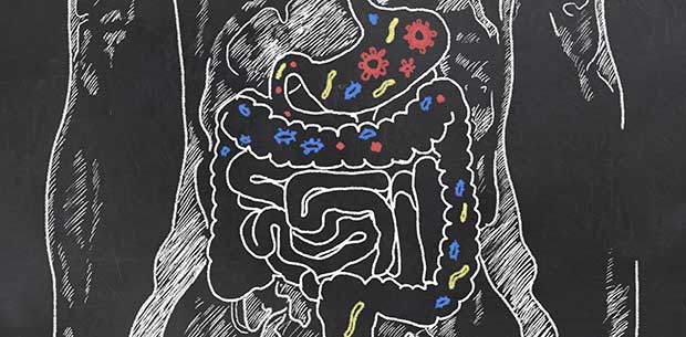Why a healthy gut is important in older age